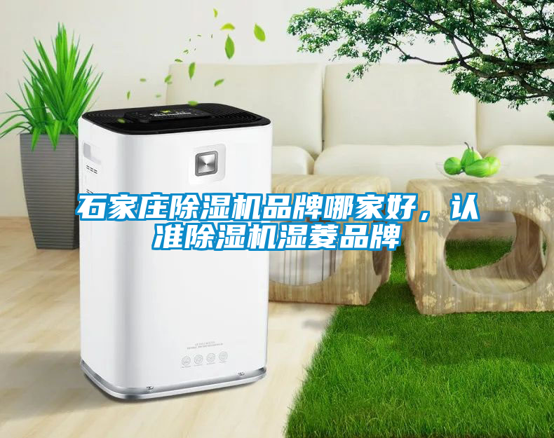 石家莊除濕機品牌哪家好，認準除濕機濕菱品牌