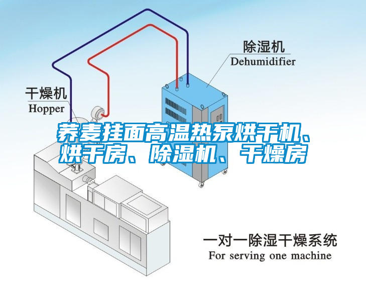 蕎麥掛面高溫?zé)岜煤娓蓹C(jī)、烘干房、除濕機(jī)、干燥房