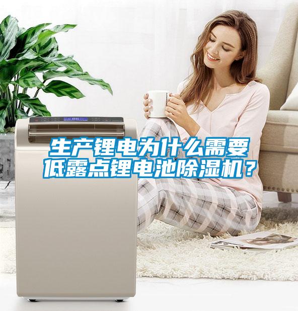 生產鋰電為什么需要低露點鋰電池除濕機？