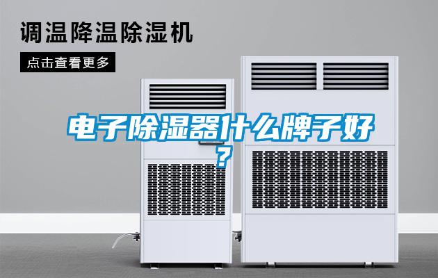 電子除濕器什么牌子好？