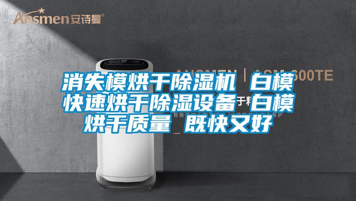 消失模烘干除濕機 白模快速烘干除濕設備 白模烘干質量 既快又好