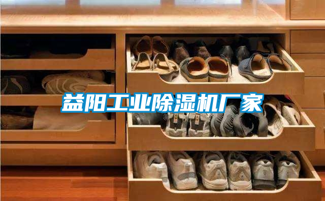 益陽工業除濕機廠家