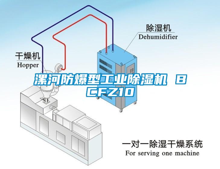 漯河防爆型工業除濕機 BCFZ10