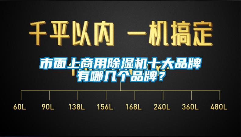 市面上商用除濕機(jī)十大品牌有哪幾個(gè)品牌？