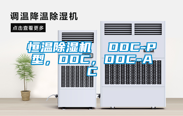 恒溫除濕機(jī)  DDC-P型，DDC，DDC-AC