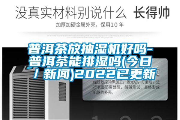 普洱茶放抽濕機好嗎-普洱茶能排濕嗎(今日／新聞)2022已更新