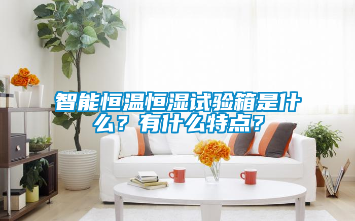 智能恒溫恒濕試驗箱是什么？有什么特點？