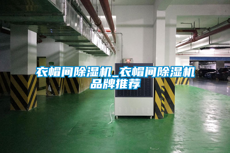 衣帽間除濕機_衣帽間除濕機品牌推薦