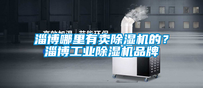 淄博哪里有賣除濕機的？淄博工業除濕機品牌