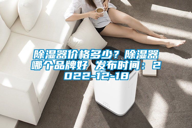 除濕器價格多少？除濕器哪個品牌好 發布時間：2022-12-18