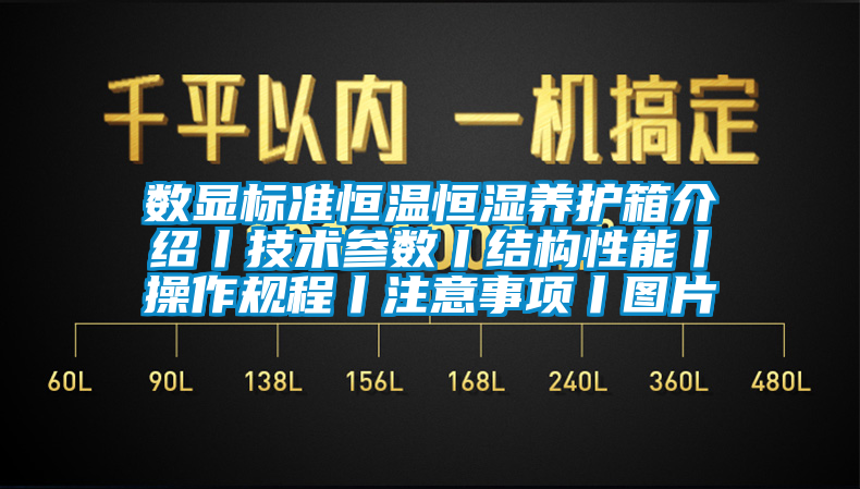 數顯標準恒溫恒濕養護箱介紹丨技術參數丨結構性能丨操作規程丨注意事項丨圖片