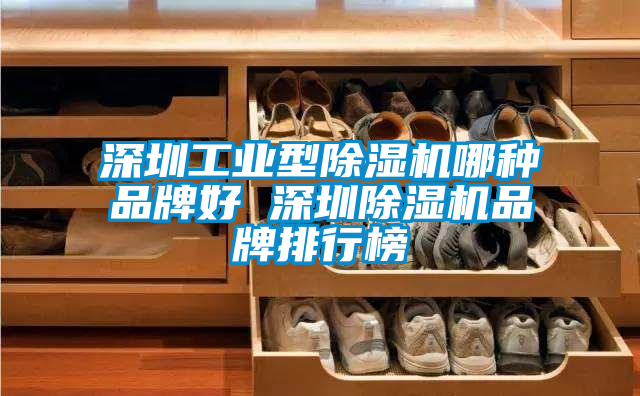 深圳工業型除濕機哪種品牌好 深圳除濕機品牌排行榜