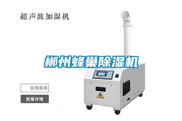 郴州蜂巢除濕機