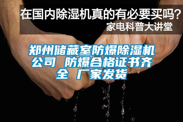 鄭州儲藏室防爆除濕機公司 防爆合格證書齊全 廠家發貨