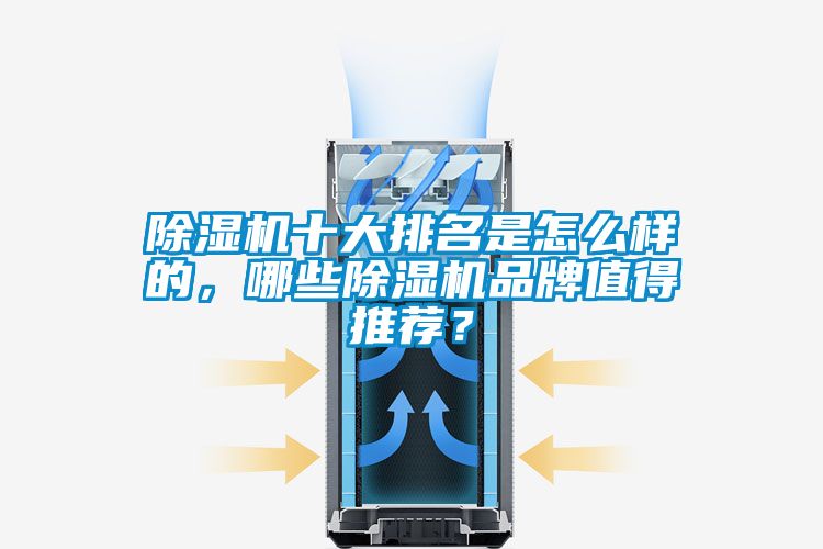 除濕機十大排名是怎么樣的，哪些除濕機品牌值得推薦？