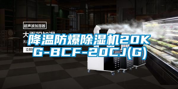 降溫防爆除濕機20KG-BCF-20CJ(G)