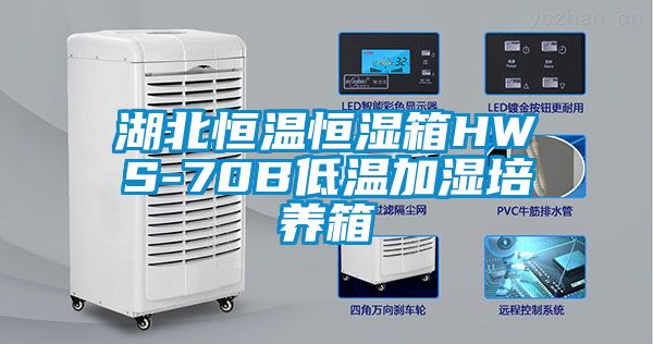 湖北恒溫恒濕箱HWS-70B低溫加濕培養箱