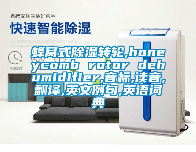 蜂窩式除濕轉(zhuǎn)輪,honeycomb rotor dehumidifier,音標,讀音,翻譯,英文例句,英語詞典