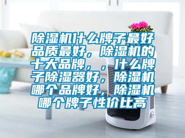 除濕機什么牌子最好品質最好，除濕機的十大品牌，，什么牌子除濕器好，除濕機哪個品牌好，除濕機哪個牌子性價比高