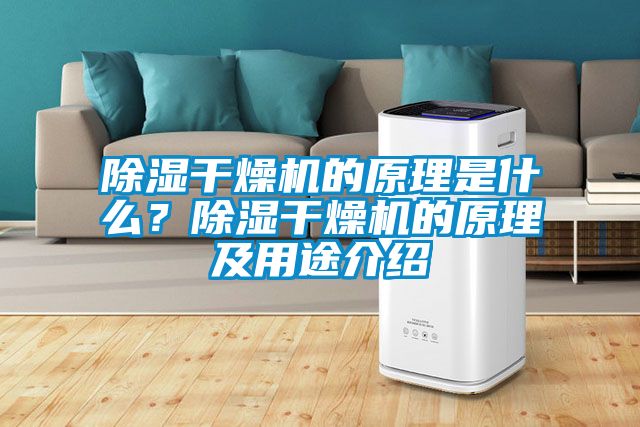 除濕干燥機的原理是什么？除濕干燥機的原理及用途介紹