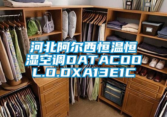 河北阿爾西恒溫恒濕空調(diào)DATACOOL.O.DXA13E1C