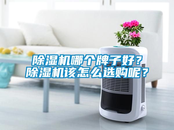 除濕機哪個牌子好？除濕機該怎么選購呢？