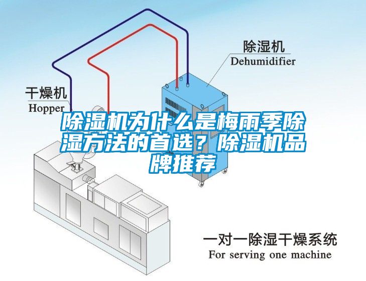 除濕機為什么是梅雨季除濕方法的首選？除濕機品牌推薦