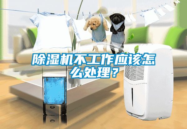 除濕機不工作應該怎么處理？