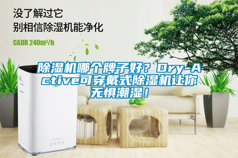 除濕機哪個牌子好？Dry-Active可穿戴式除濕機讓你無懼潮濕！