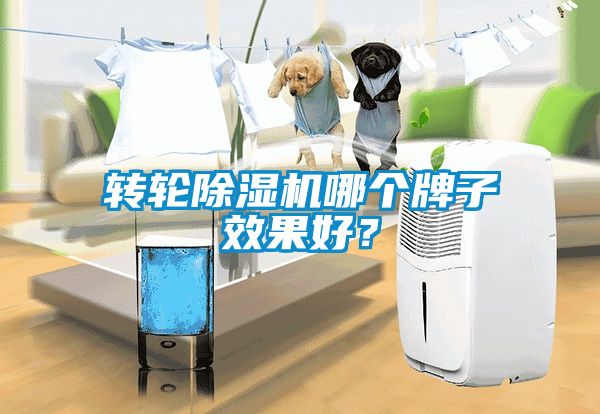 轉輪除濕機哪個牌子效果好？