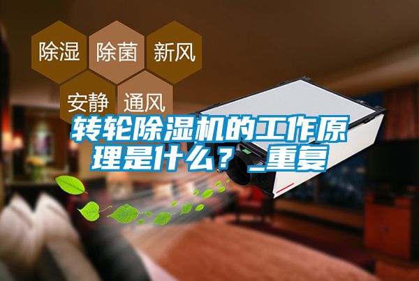 轉輪除濕機的工作原理是什么？_重復