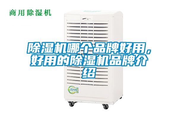 除濕機哪個品牌好用，好用的除濕機品牌介紹