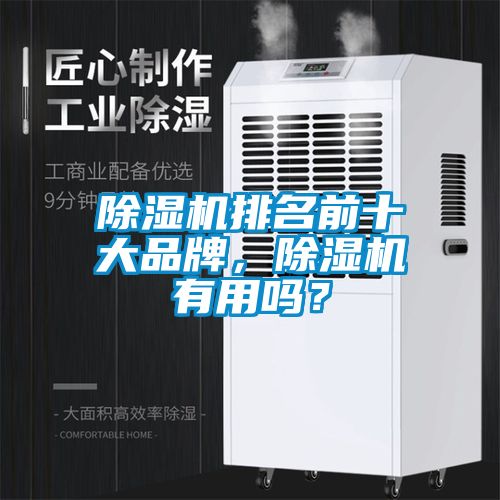 除濕機排名前十大品牌，除濕機有用嗎？