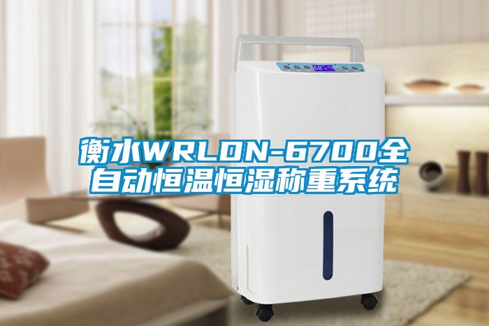 衡水WRLDN-6700全自動恒溫恒濕稱重系統