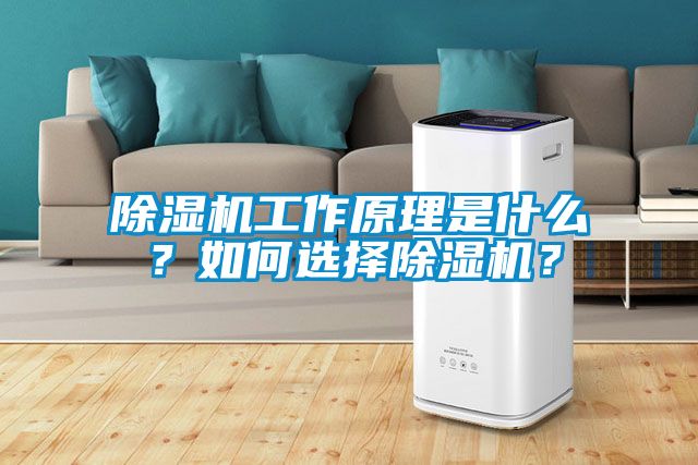 除濕機工作原理是什么？如何選擇除濕機？