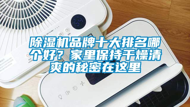 除濕機品牌十大排名哪個好？家里保持干燥清爽的秘密在這里