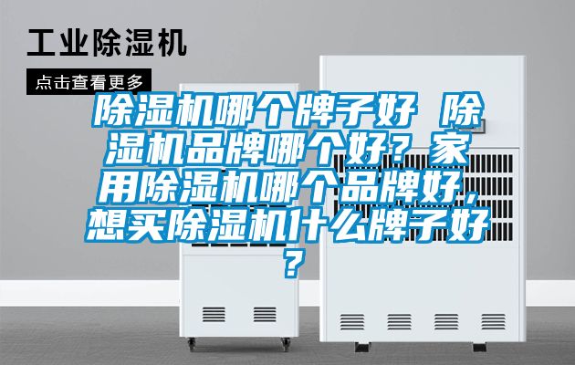 除濕機哪個牌子好 除濕機品牌哪個好？家用除濕機哪個品牌好，想買除濕機什么牌子好？