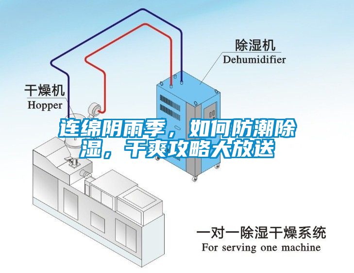 連綿陰雨季，如何防潮除濕，干爽攻略大放送