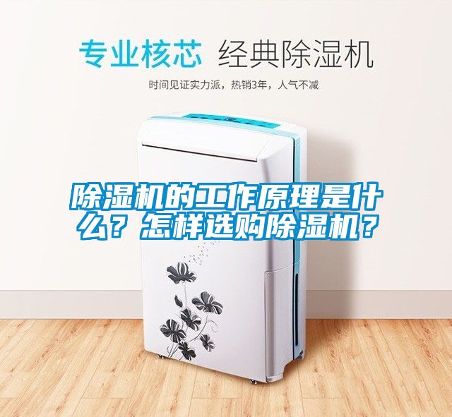 除濕機的工作原理是什么？怎樣選購除濕機？