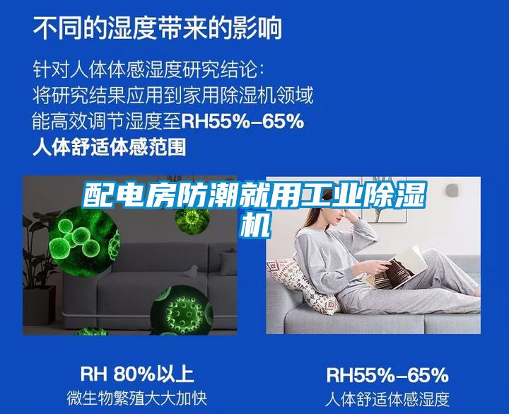 配電房防潮就用工業除濕機