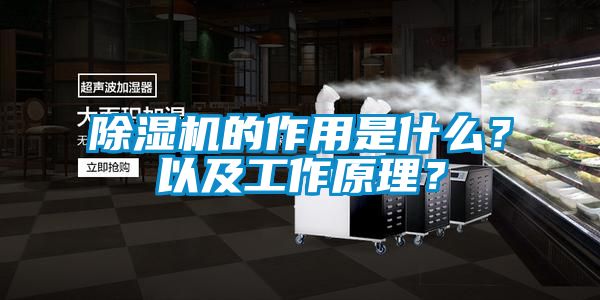 除濕機的作用是什么？以及工作原理？