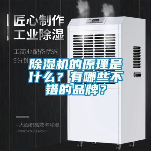 除濕機的原理是什么？有哪些不錯的品牌？