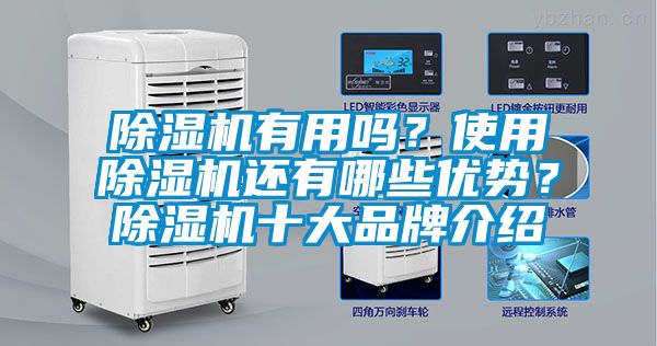 除濕機有用嗎？使用除濕機還有哪些優勢？除濕機十大品牌介紹