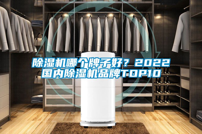 除濕機哪個牌子好？2022國內除濕機品牌TOP10