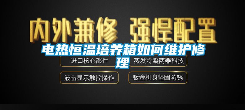 電熱恒溫培養箱如何維護修理