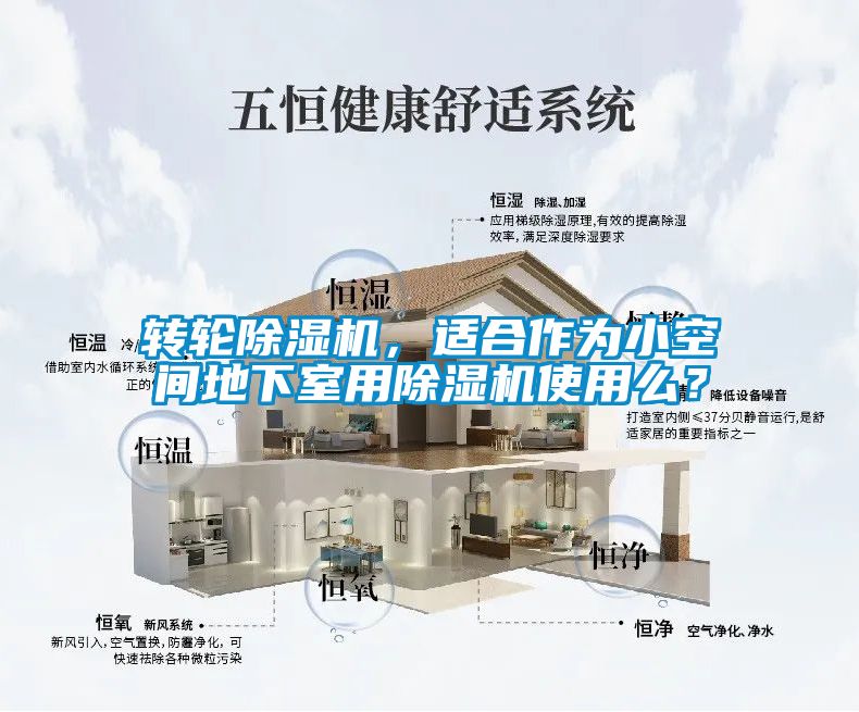 轉輪除濕機，適合作為小空間地下室用除濕機使用么？