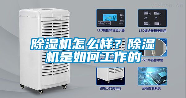 除濕機怎么樣？除濕機是如何工作的