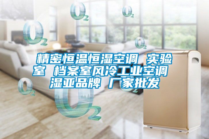 精密恒溫恒濕空調 實驗室 檔案室風冷工業空調 濕亞品牌 廠家批發