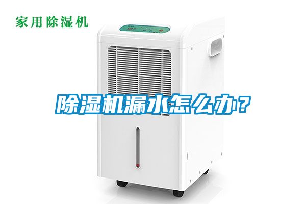 除濕機漏水怎么辦？