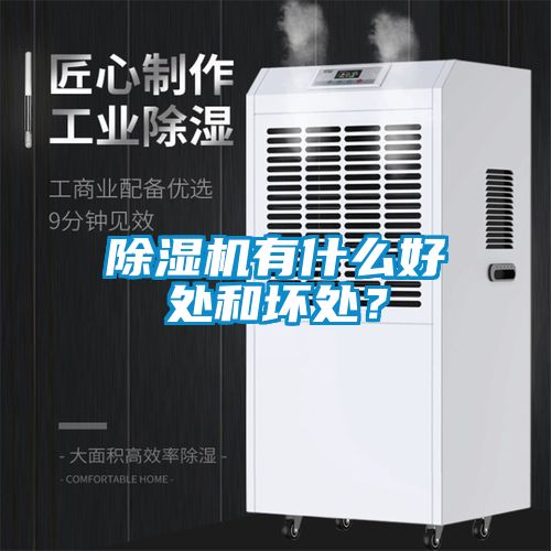 除濕機有什么好處和壞處？